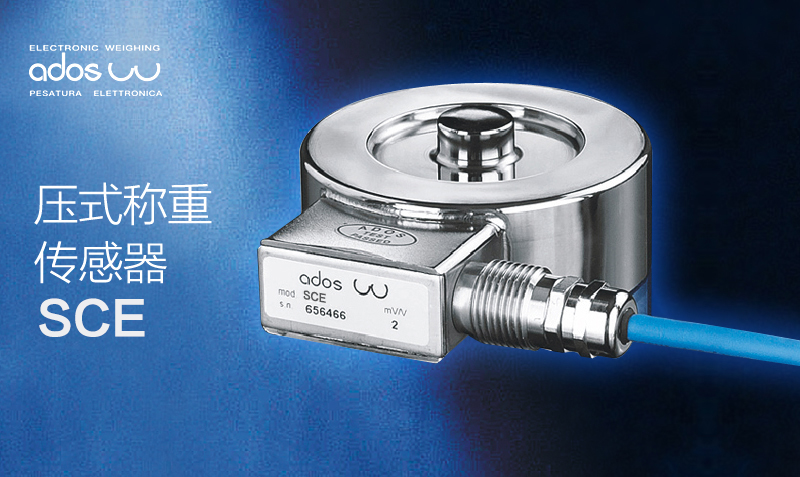 1636095917279321.jpg 2.jpg